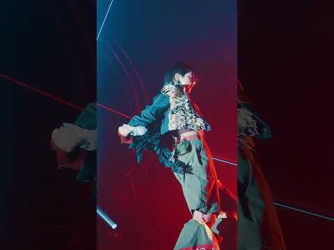 【🎥】WILD(AMEFURASSHI Live