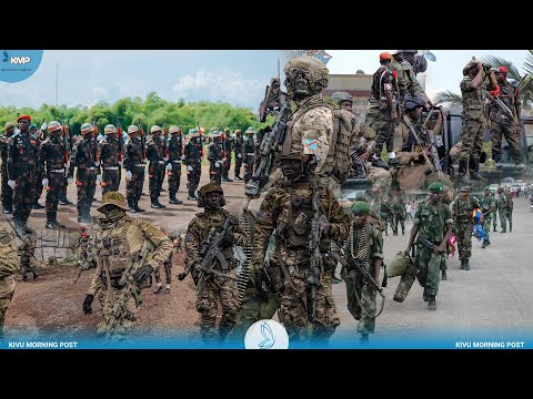 RDC : LES FARDC RENFORCENT LE FRONT EST CONTRE L'AFC-M23, WAZALENDO LANCENT DES ATTAQUES À NGWESHE