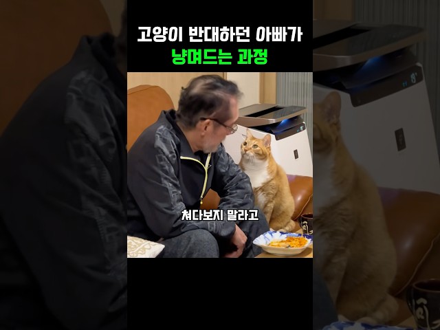 고양이 반대하던 아빠가 냥며드는 과정