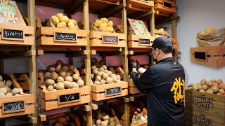 動画サムネイル