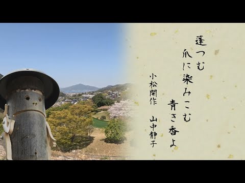 俳句ポストつとむくん 第四十四回