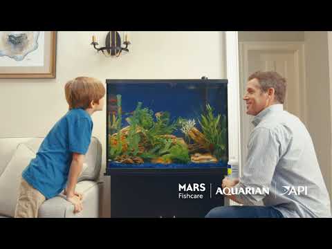 Dive into your underwater world of fish with Mars  Mars Fishcare and API brand are passionate about fishkeeping. We’ve been a pioneer in the aquatics