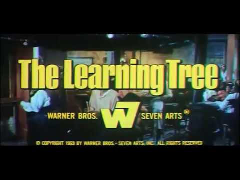 The Learning Tree'