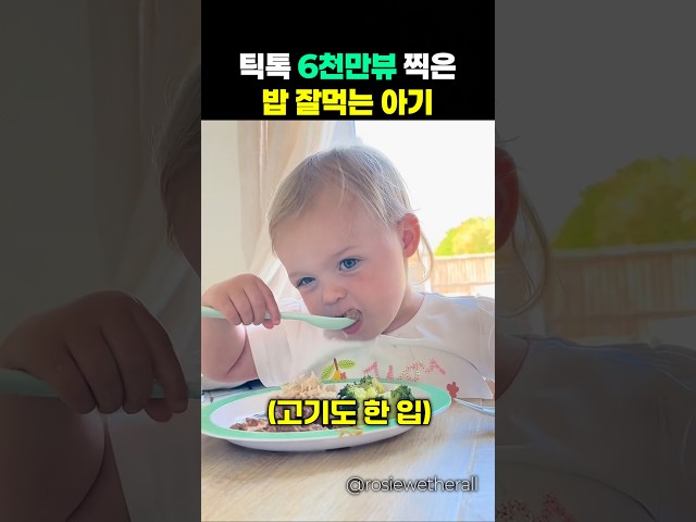 밥만 먹었을 뿐인데 틱톡에서 6천만뷰 나온 영상