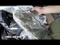 Captives of Cannabis: Inside smuggling across U.S. highways
