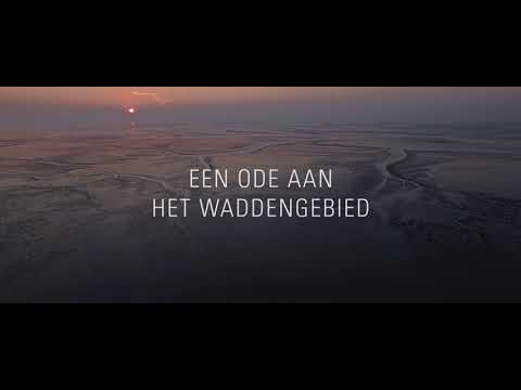 Wad, overleven op de grens van water en land'