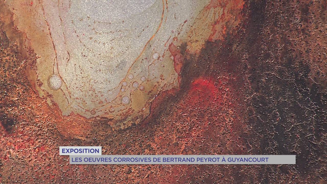 Exposition : les œuvres corrosives de Bertrand Peyrot