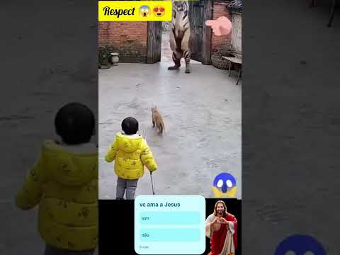 se você ama a Jesus, inscreva-se no nosso canal