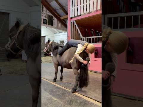 Soft & Tangle-Free with Leovet❤️ #shorts #pony #horseriding