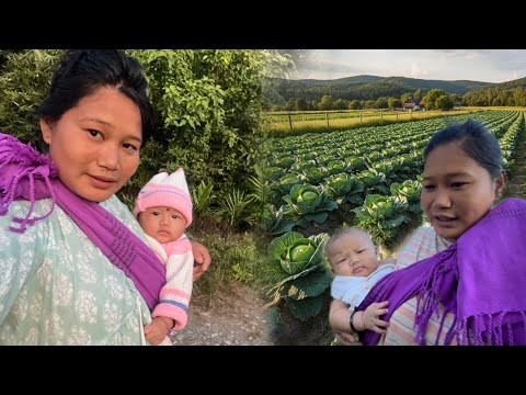 Sabji ki Garden par Cabbage 🥬 ki plantation kiya | Daughter ko ghumaya