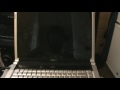 Prueba de Notebook Dell XPS m1530, problema en Chip de Video