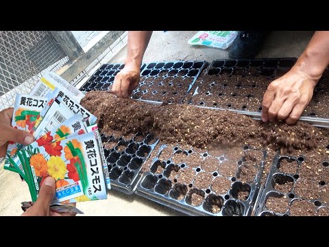 約400個の花を大量生産して、蜂蜜集めを手伝います【養蜂#21】