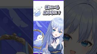 バーチャルインコのささみちゃんです！ #VTuber #shorts