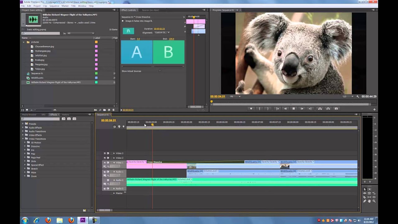 Adobe Premiere Pro Cs6 Tutorial Basic Editing Youtube 