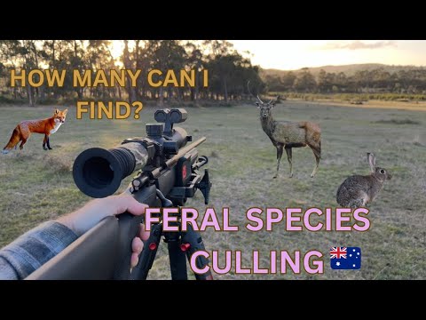 Australia Is LOSING The Battle Against Feral Species  