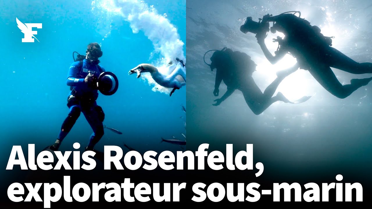 Explorateur et photographe sous-marin, Alexis Rosenfeld raconte son métier