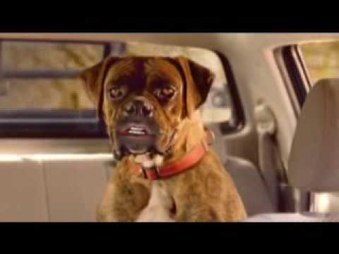 Bloopers reel from the toyota buddy campaign