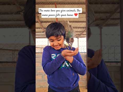 Are You Kind To Animals ❤️🐶 #dog #animals #pets #birds #puppy #shorts