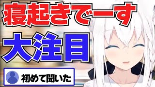 【白上フブキ】寝起きで素の声がでてしまうフブキ【ホロライブ切り抜き】