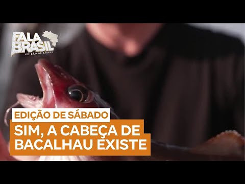 Cabeça de bacalhau existe e o Fala Brasil te mostra como ela é