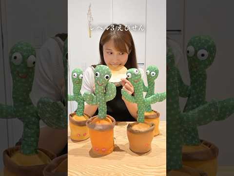 過去1の大惨事が起きました🌵