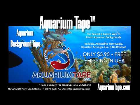 Aquarium Tape™ - The Newest Way To Attach Aquari Aquarium Tape™, the easiest and most enjoyable way to attach your aquarium backgrounds! 

For over