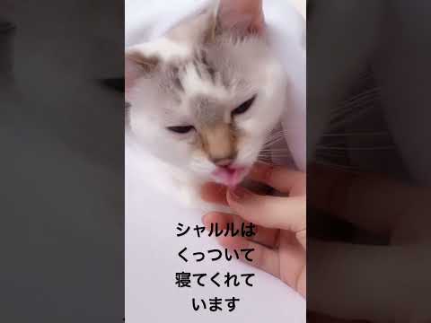 お知らせ😸🤧