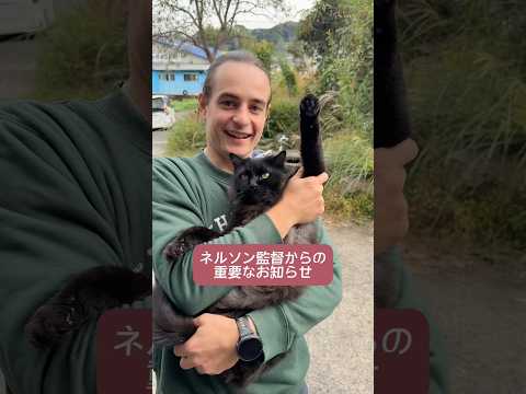 ついに、ここ半年間の成果が今週木曜からの秋の陶磁器まつりに登場します!これまでで一番綺麗に焼けるようになった銀河たち🌌 11/20(木) - 11/24(月)オンラインショップ&有田のお店