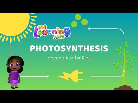 Photosynthesis Quiz for Kids | Quiz for Kids | Learn with Fun | TheLearningApps.com