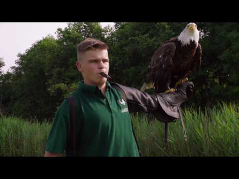 De Vogelvriend'