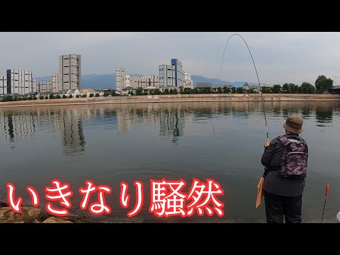 #406【フカセ】1投目から強烈な引きで騒然!!