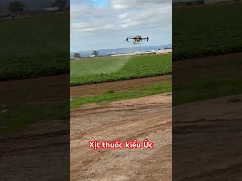Spraying by Drone #cuocsonguc #gardeningplants