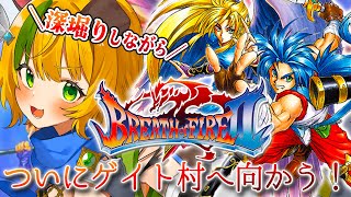 【BOFⅡ/ブレスオブファイア2】#10  SFC版 　ガナー神父を救い出した！次はゲイト村へ⚠️ネタバレ注意【わんこわんわん/すたすぺ所属