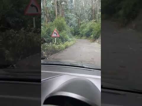 #yt#shorts#trending#viral#viralvideo#song#birds#music#waitforend#coolie#rajinikanth