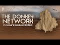The Donkey Network | Snapshot | News9 Plus