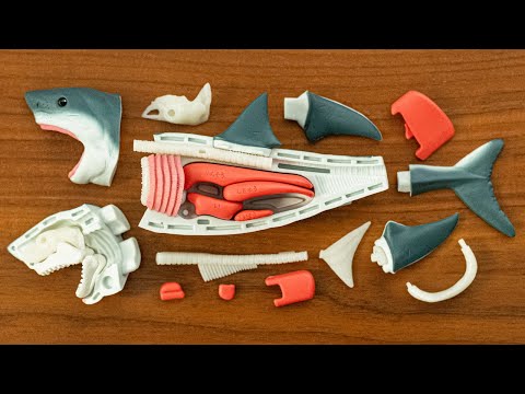 ホホジロザメ解体パズルで食す!大量サメグッズ Great White Shark demolition puzzle. Japanese toy. JAWS