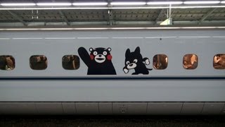 くまモン&くろちゃん ラッピング新幹線 新神戸駅 【Kumamon Shinkansen】