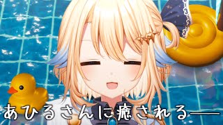 【ゲーム】かわいいあひるさんと過ごすチルタイム【#VTuber】