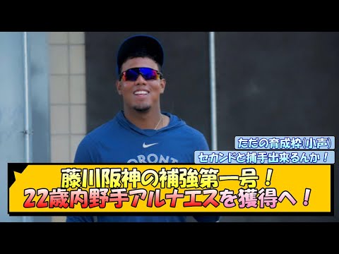 藤川阪神の補強第一号！22歳内野手アルナエスを獲得へ！【なんJ/2ch/5ch/ネット 反応 まとめ/阪神タイガース/岡田監督】