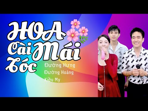 HOA CÀI MÁI TÓC || ĐƯỜNG HƯNG x ĐƯỜNG HOÀNG x KIỀU MY || COVER