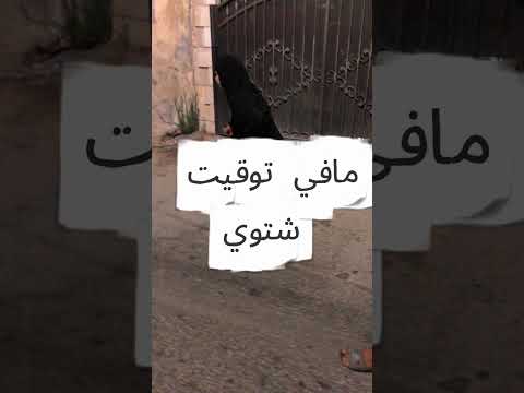 هيك ممكن يصير بتثبيت الوقت