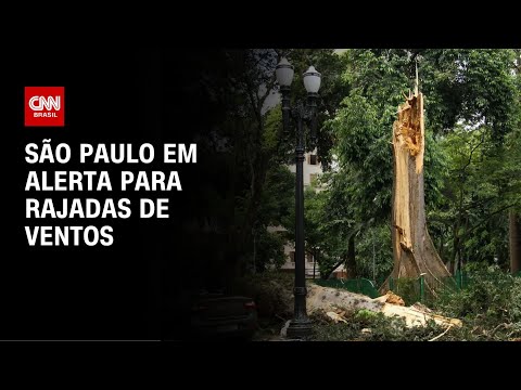 ​Defesa Civil de São Paulo faz alerta para ventos fortes | CNN PRIME TIME
