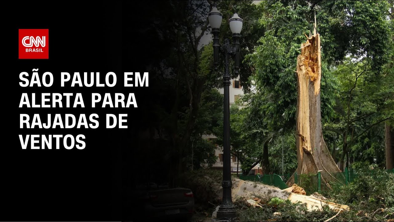 Defesa Civil de São Paulo faz alerta para ventos fortes | CNN PRIME TIME
