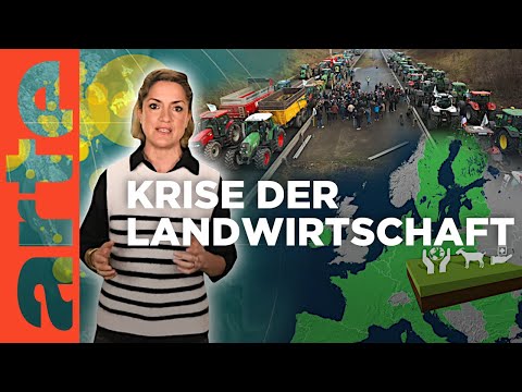 Bauernproteste: schmerzhafter Strukturwandel | Mit offenen Karten - Im Fokus | ARTE