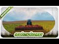 Green manure v2.1