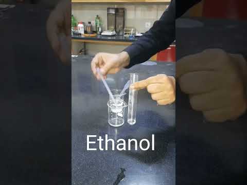 Fat Test 😂|#youtubeshorts #fattest #biology #scienceexperiment #experiment #shorts #shortfeed