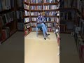 Miniatura video