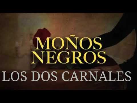 Upload mp3 to YouTube and audio cutter for Moños Negros(Letra)-Los Dos Carnales download from Youtube