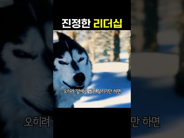 진정한 리더십