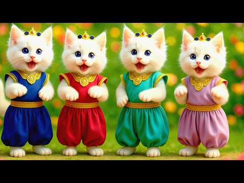 बिल्ली  डांस,💃| Cutest Cat videos funny dance 🤣 💃 Videos for cats #funny #dancingcat #cat #kitten